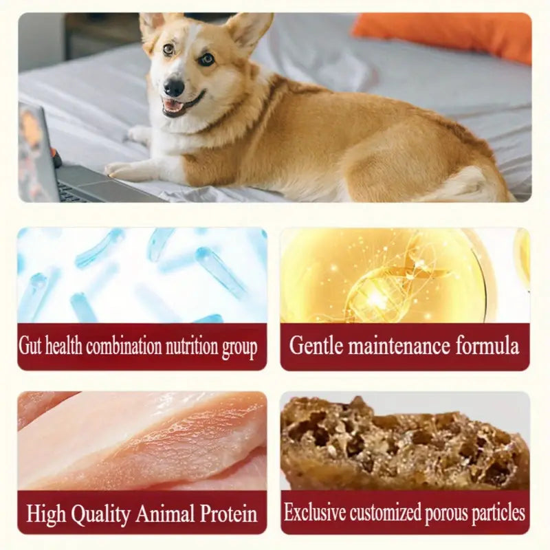1pc Maifudi dog food duck meat snow pear freeze-dried double mixed food full price adult dog food 2kg tear stain relief for all dogs